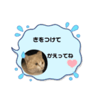 のりお＆あさり（個別スタンプ：12）