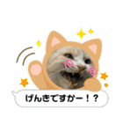 のりお＆あさり（個別スタンプ：22）