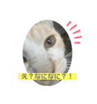のりお＆あさり（個別スタンプ：26）