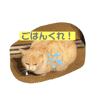 のりお＆あさり（個別スタンプ：28）