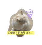 のりお＆あさり（個別スタンプ：29）