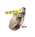 のりお＆あさり（個別スタンプ：31）