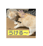 のりお＆あさり（個別スタンプ：37）