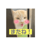 のりお＆あさり（個別スタンプ：38）