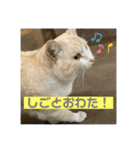 のりお＆あさり（個別スタンプ：39）