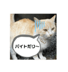 のりお＆あさり（個別スタンプ：40）