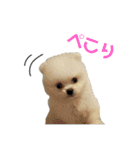 まる様のおスタンプ（個別スタンプ：6）