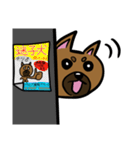 柴犬テツLINEすたんぷ①（個別スタンプ：3）