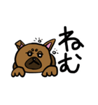 柴犬テツLINEすたんぷ①（個別スタンプ：5）