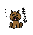 柴犬テツLINEすたんぷ①（個別スタンプ：6）