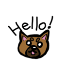 柴犬テツLINEすたんぷ①（個別スタンプ：8）