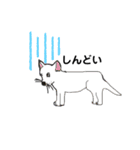 毎日使える言葉 犬と猫（個別スタンプ：5）