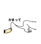 毎日使える言葉 犬と猫（個別スタンプ：12）