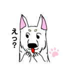 毎日使える言葉 犬と猫（個別スタンプ：13）