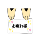 毎日使える言葉 犬と猫（個別スタンプ：16）