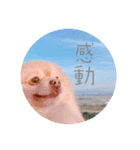 さとうさんの 日常（個別スタンプ：3）