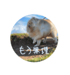 さとうさんの 日常（個別スタンプ：4）
