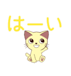 年中使える猫スタンプ（個別スタンプ：7）