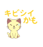 年中使える猫スタンプ（個別スタンプ：13）