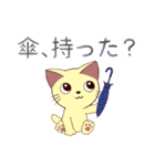 年中使える猫スタンプ（個別スタンプ：29）