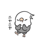 大好きを伝えるオカメインコちゃん（個別スタンプ：27）