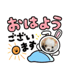 翔モアかいとのスタンプ（個別スタンプ：1）