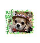 翔モアかいとのスタンプ（個別スタンプ：3）