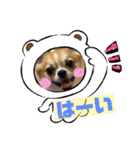 翔モアかいとのスタンプ（個別スタンプ：11）