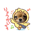 翔モアかいとのスタンプ（個別スタンプ：12）