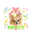 翔モアかいとのスタンプ（個別スタンプ：21）