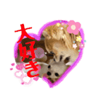 翔モアかいとのスタンプ（個別スタンプ：22）