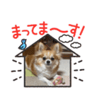 翔モアかいとのスタンプ（個別スタンプ：25）