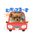 翔モアかいとのスタンプ（個別スタンプ：26）