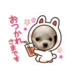 翔モアかいとのスタンプ（個別スタンプ：27）