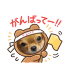 翔モアかいとのスタンプ（個別スタンプ：29）