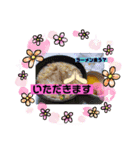 ぼちぼちで良いやん（個別スタンプ：5）
