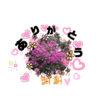 ぼちぼちで良いやん（個別スタンプ：13）