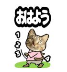 猫キジトラBIGスタンプ4（個別スタンプ：9）