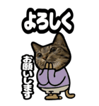 猫キジトラBIGスタンプ4（個別スタンプ：18）