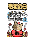 猫キジトラBIGスタンプ4（個別スタンプ：23）