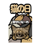 猫キジトラBIGスタンプ4（個別スタンプ：25）