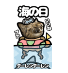 猫キジトラBIGスタンプ4（個別スタンプ：27）