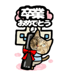 猫キジトラBIGスタンプ4（個別スタンプ：30）