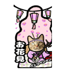 猫キジトラBIGスタンプ4（個別スタンプ：33）