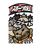 猫キジトラBIGスタンプ4（個別スタンプ：39）