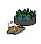 デフォキョン（個別スタンプ：4）