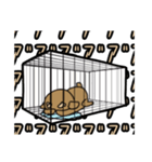 デフォキョン（個別スタンプ：15）