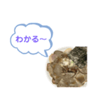 喋るラーメン（個別スタンプ：29）