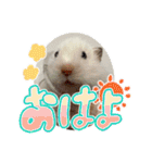 mopmopトンガリモップ号sutampu（個別スタンプ：2）