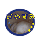 mopmopトンガリモップ号sutampu（個別スタンプ：3）